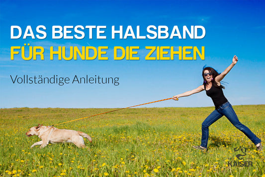 Hundehalsband für Hunde die ziehen