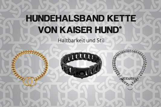 Halsband Kette