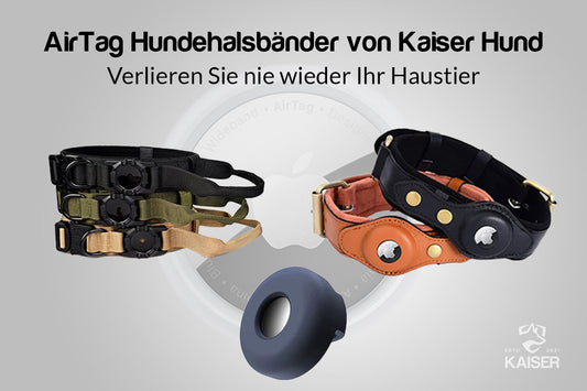 Die Zukunft der Haustiersicherheit: Integration von AirTag in Hundehalsbänder