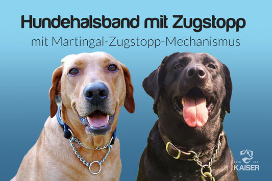 Hundehalsband Zugstopp