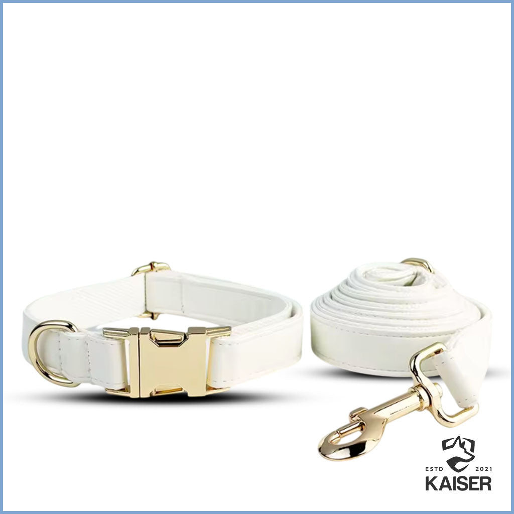 Elegantes weißes Hundehalsband und Leine Set