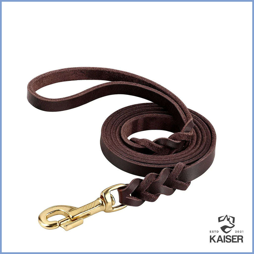 Geflochtene Hundeleine Leder braun