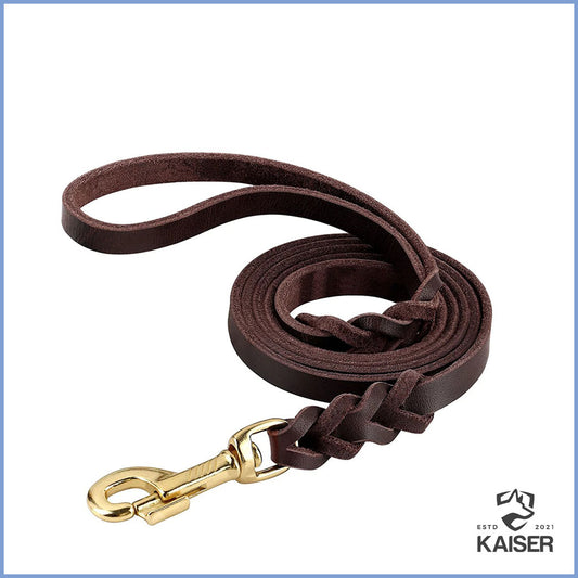 Geflochtene Hundeleine Leder braun