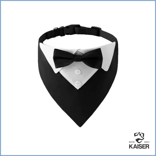 Hundehalsband für Hochzeit