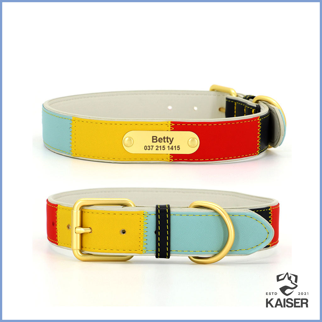 Hundehalsband Leder mit Namen und Telefonnummer