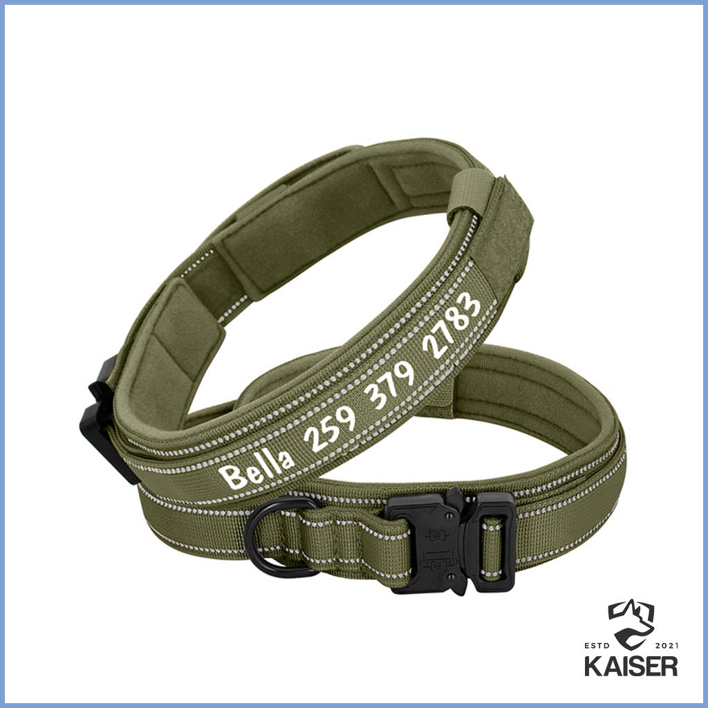 Hundehalsband mit Klickverschluss personalisiert