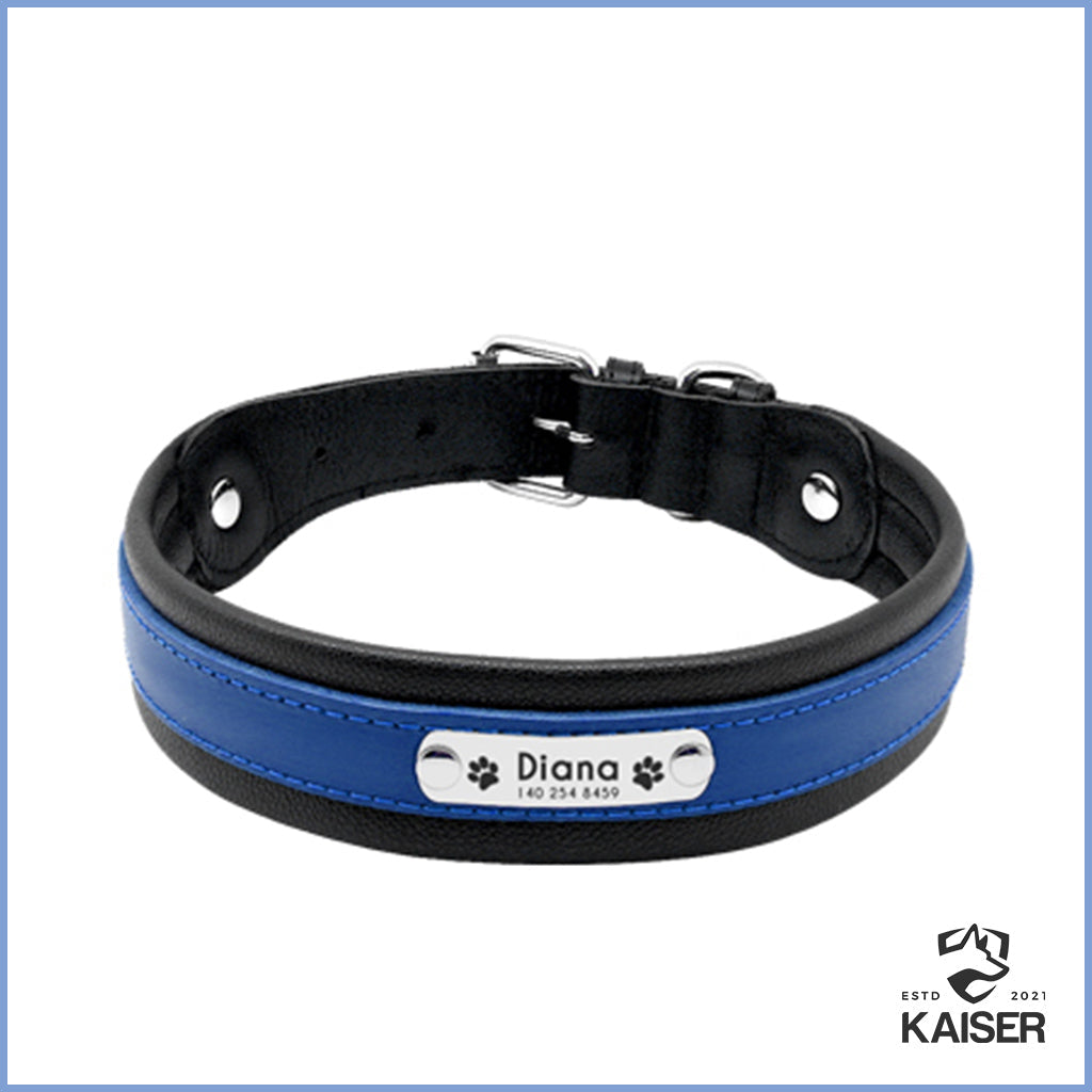 Hundehalsband mit Namen und Telefonnummer blau und schwarz