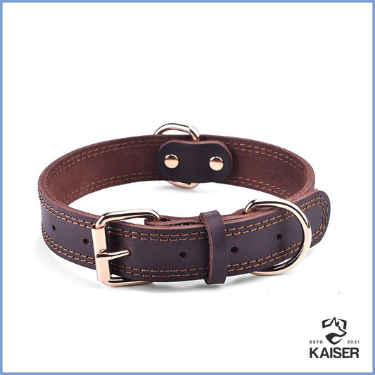 Kentucky Hundehalsband braun Leder