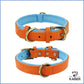 lederhalsband hund orange