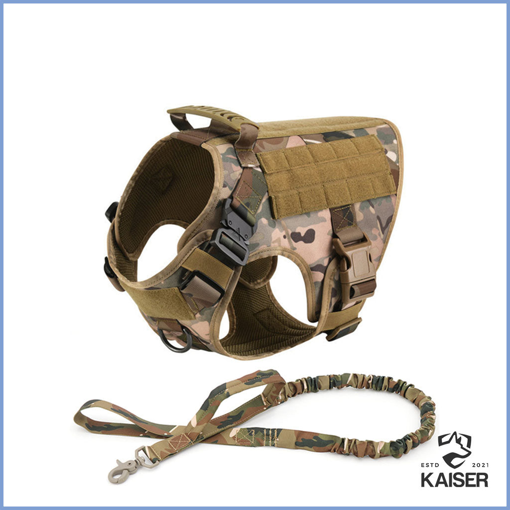 taktisches Hundegeschirr mit Leine